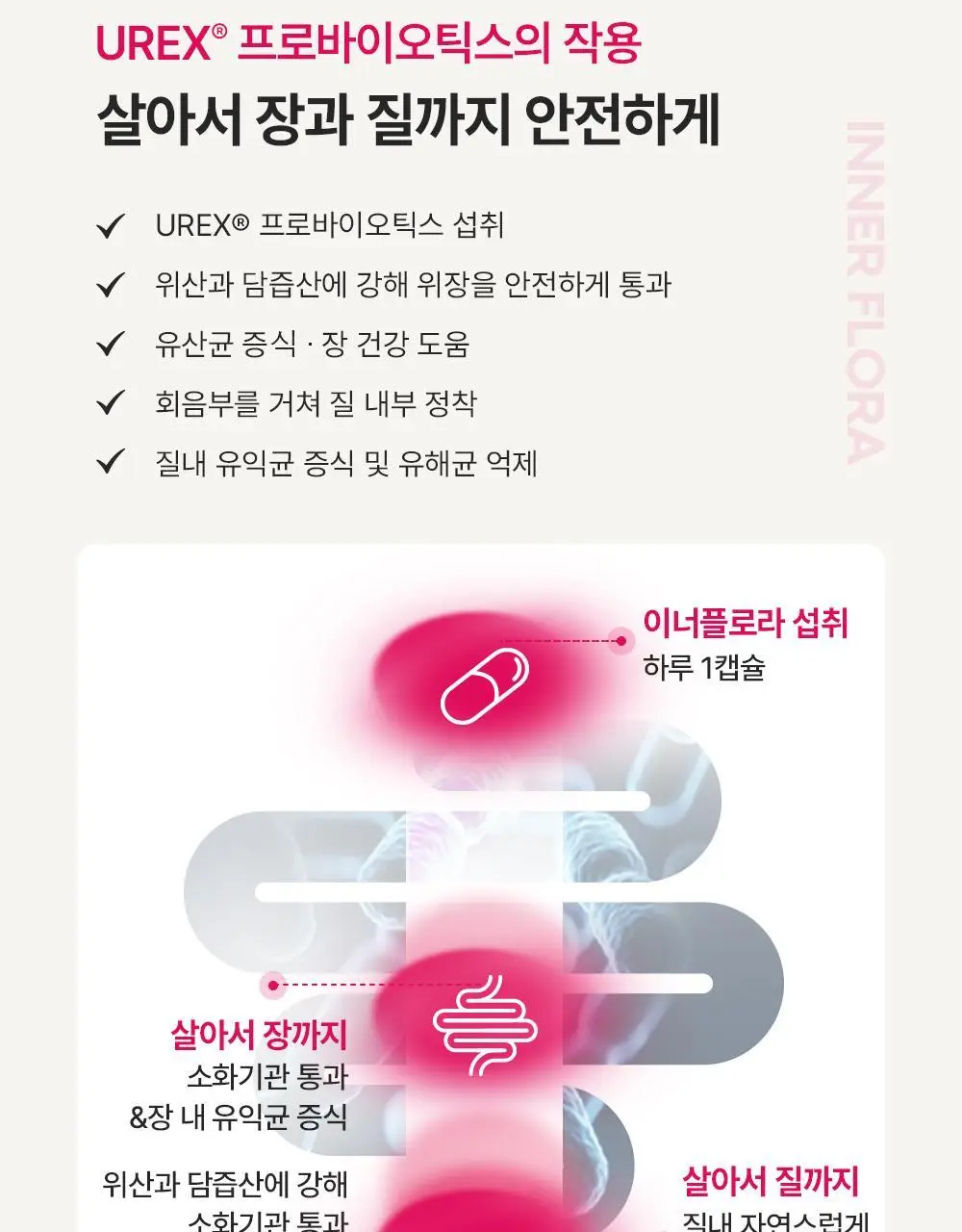 [호빵맨콜라보] 이너플로라 질유산균 60캡슐+호빵맨 스티커 상세페이지 20